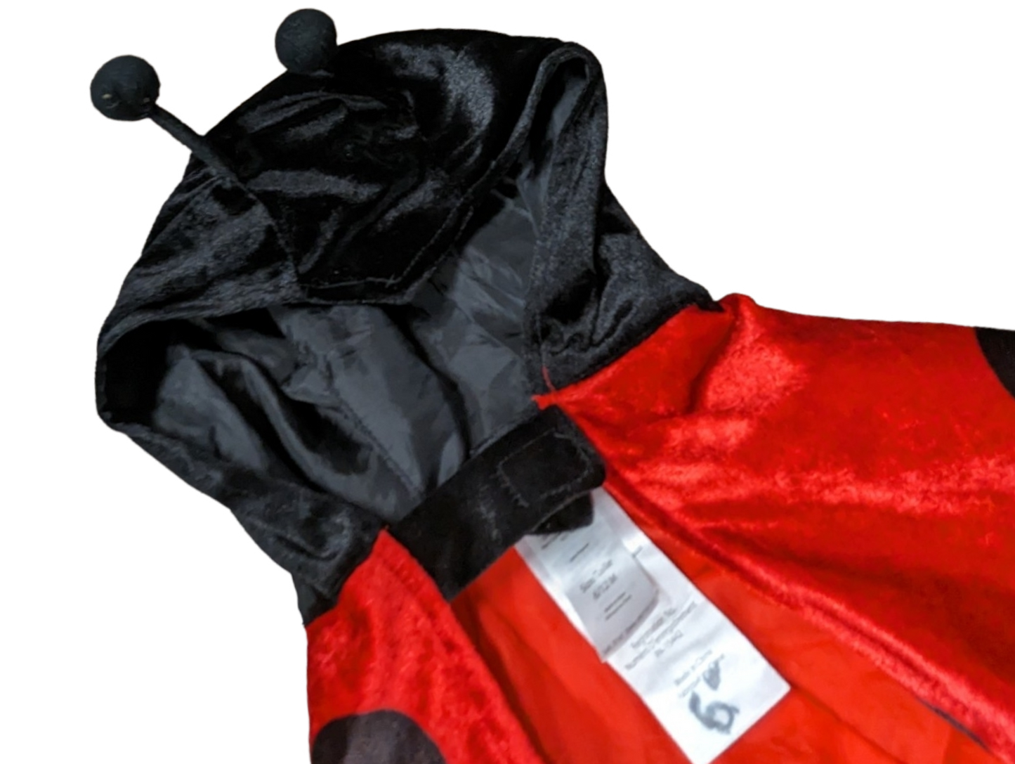 Déguisement cape coccinelle 6-12mois