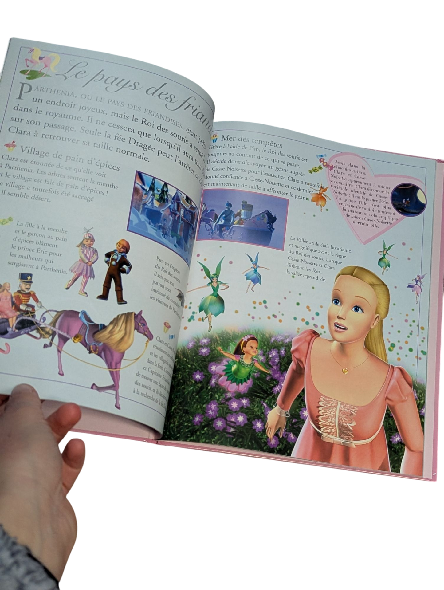 Livre Barbie un monde de princesses Le guide essentiel