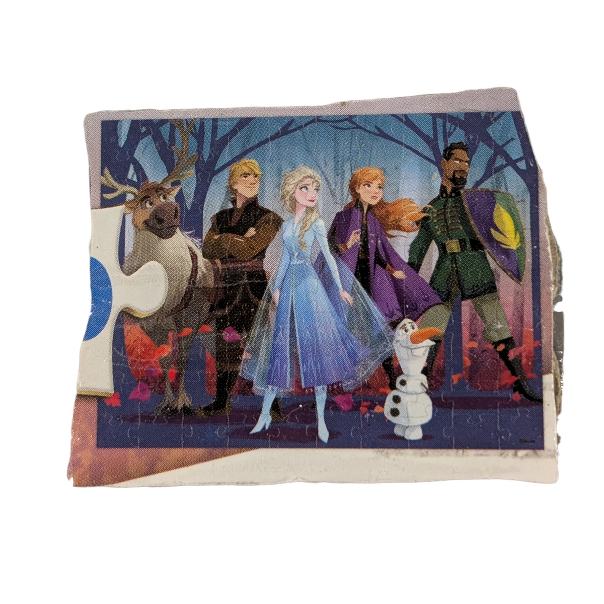 Casse-tête 100mrcx Frozen