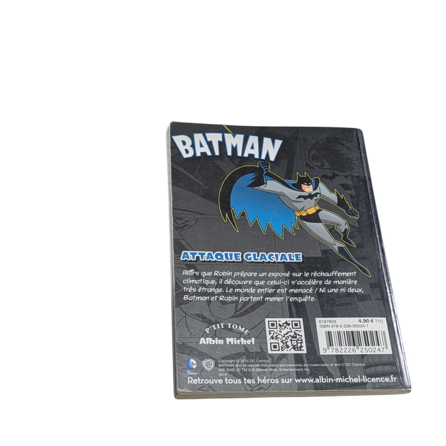 Livre Attaque Glaciale Batman