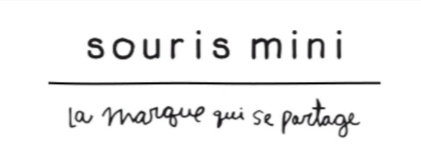 Souris mini