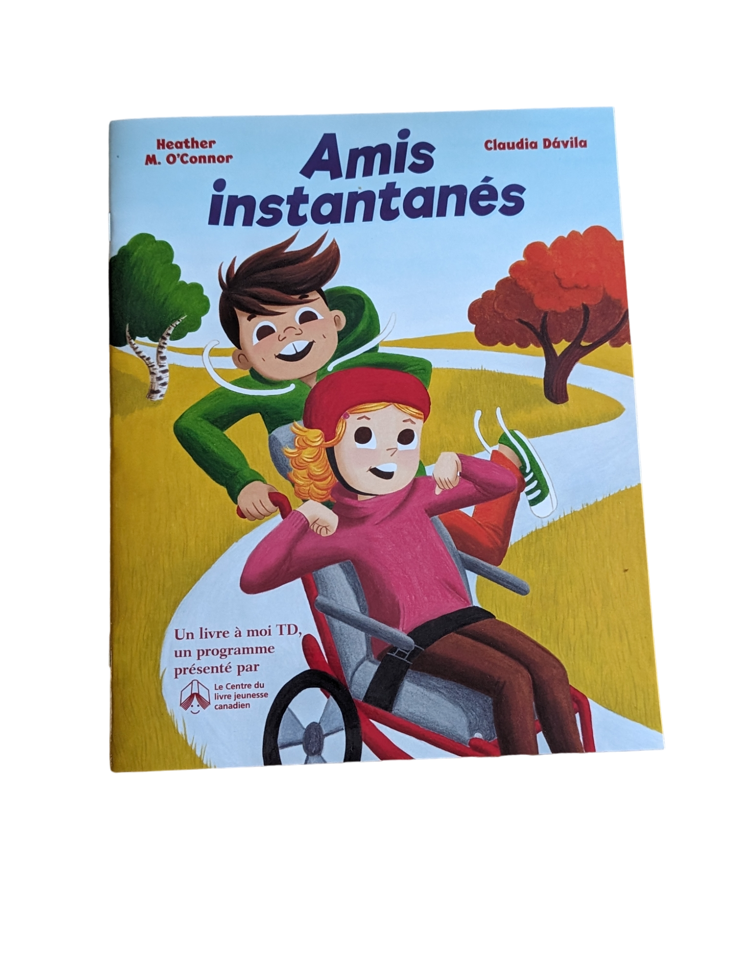 Livre amitiés instantanés