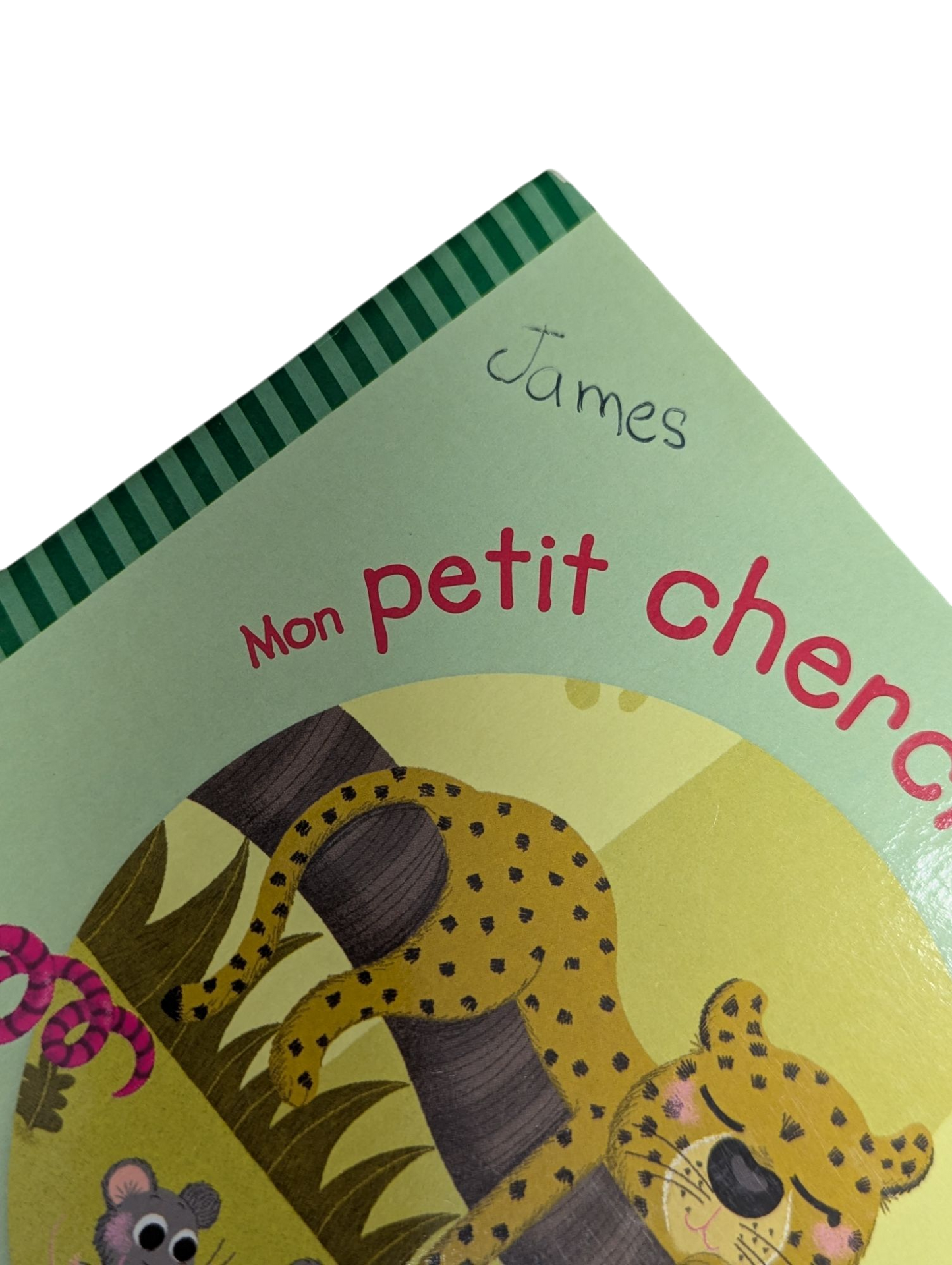 Livre Mon Petit Cherche Et Trouve La Jungle*