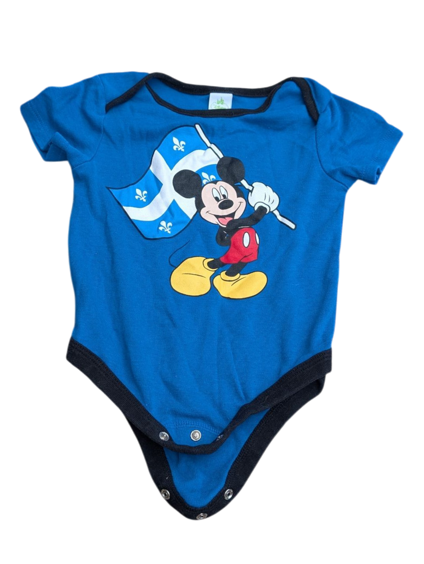 Cache-couche 12-18mois Disney*