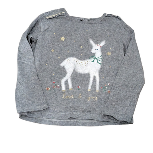 Chandail 5ans Carters