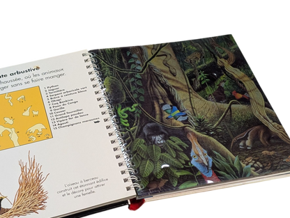 Livre J'observe la Jungle -- Gallimard