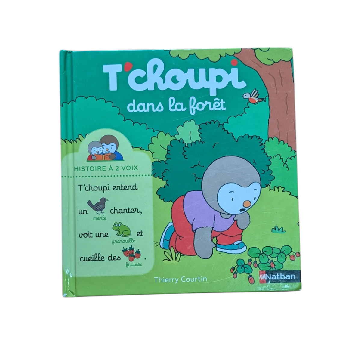 Livre T'Choupi dans la forêt