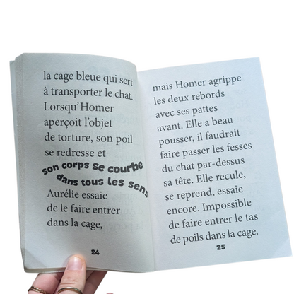 Livre Homer le matou licorne - Mon mini BIG à moi