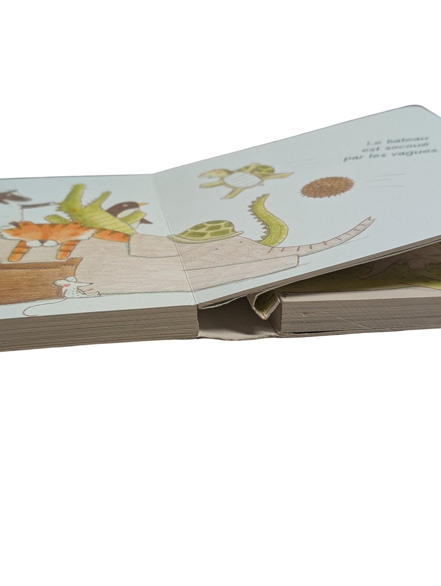 Livre L'Arche des animaux*