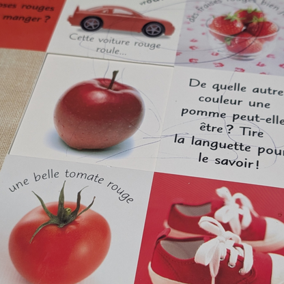 Livre FOrmidables couleurs!*