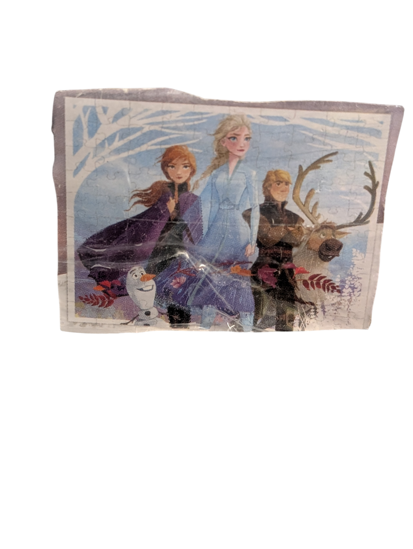 Casse-tête 100mrcx Reine des neiges *