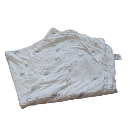 Couverture bamboo 30X40' Perlimpinpin