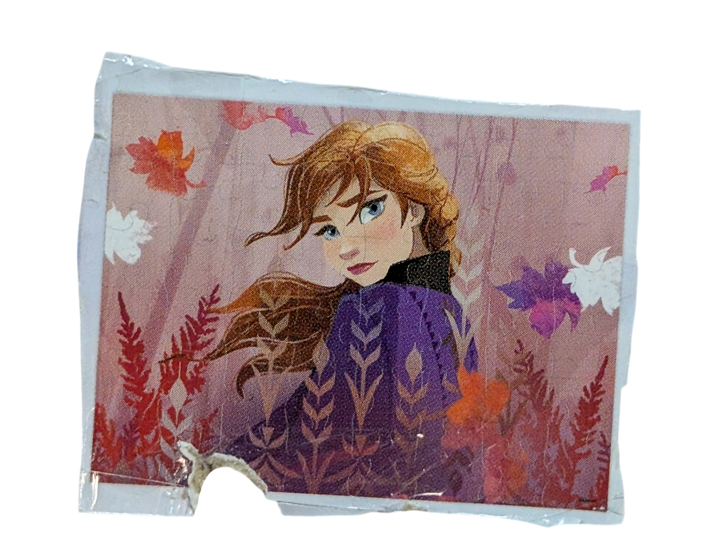 Casse-tête 48mrcx Reine des Neiges*