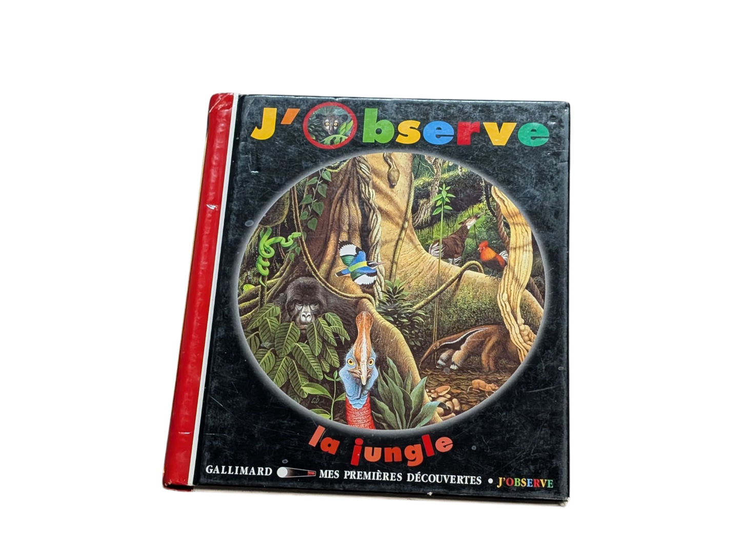 Livre J'observe la Jungle -- Gallimard