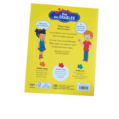 Livre Pique-nique dans le salon Rue des Érables