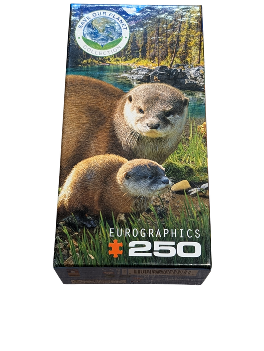 Casse-tête 250mrcx Eurographics