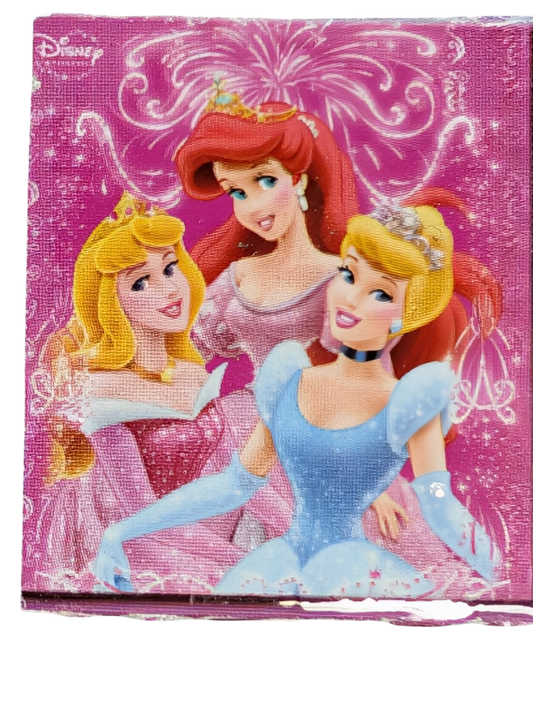 Casse-tête 100mrcx Princesses Disney*