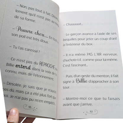Livre Du rêve à la réalité - Billie Jazz T.12