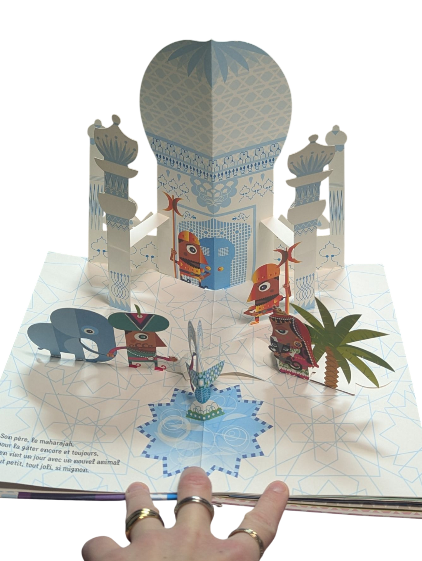 Livre Un éléphant dans un palais de porcelaine