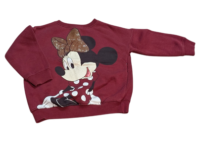 Chandail 4ans Zara*