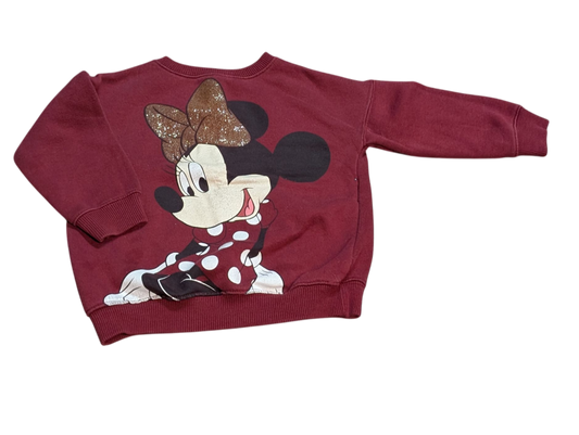 Chandail 4ans Zara*