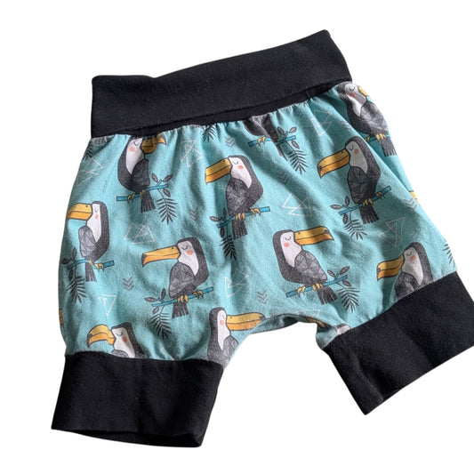 Short évolutive 3-6ans MPB