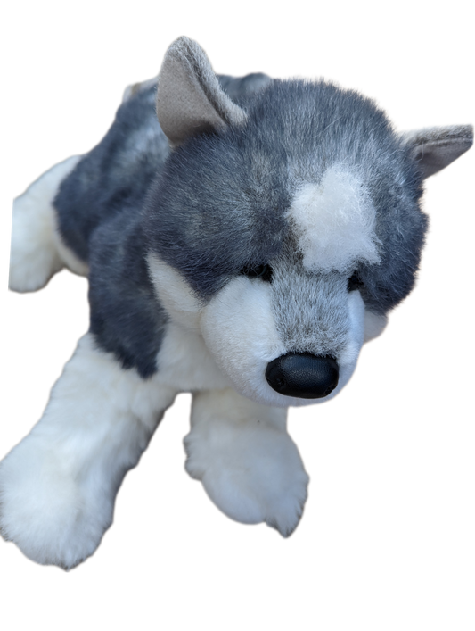 Peluche Husky Douglas